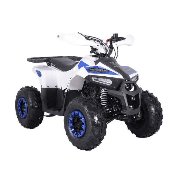 TAO MUDHAWK 110CC